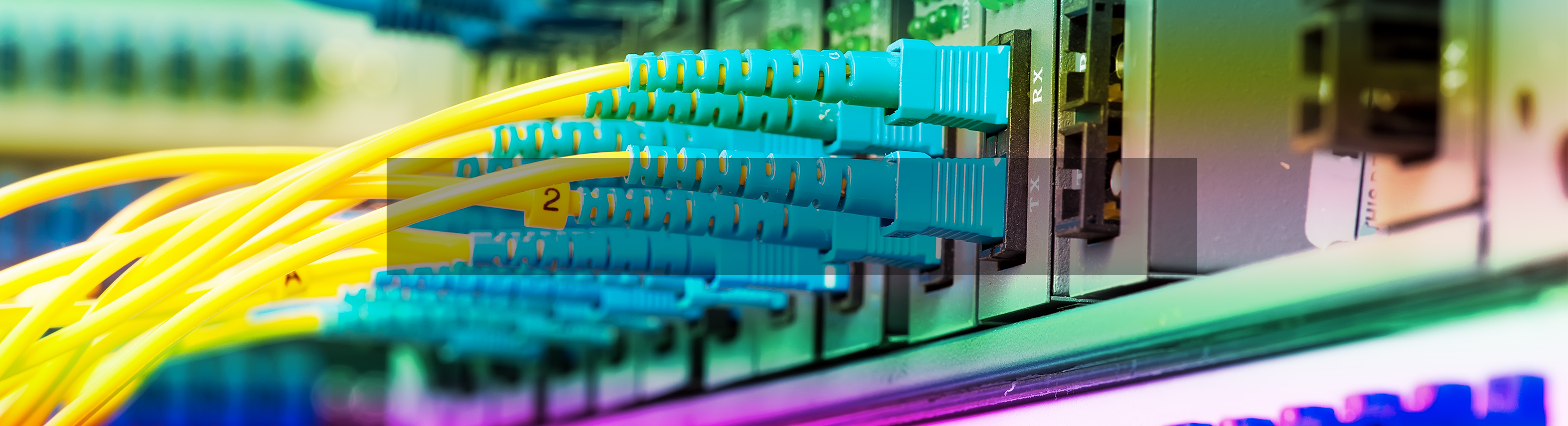 Optical Connectivity Products