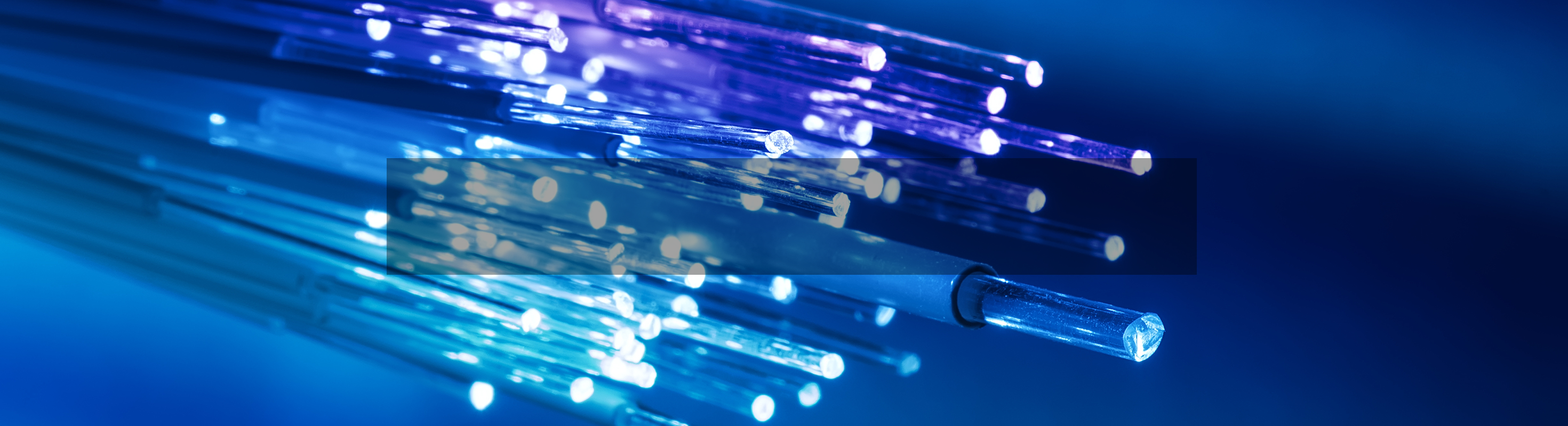 Fiber Optic Cables