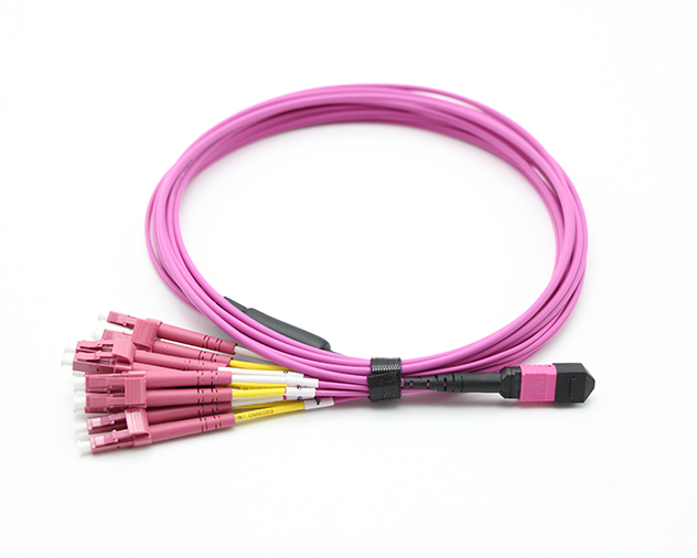 S12F MPO/MTP-6*DX LC Fanout Cable